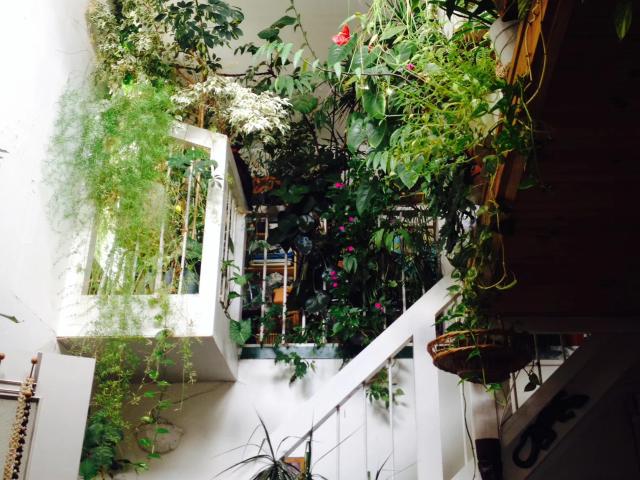 Location Chambre Rue de Ridder, Paris