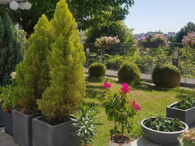 Location Chambre Rue des Pichets, Bagneux