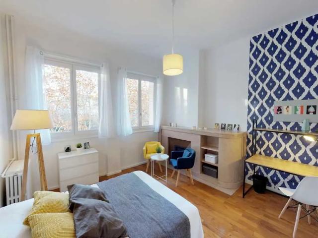 Location Chambre Avenue Félix Faure, Lyon