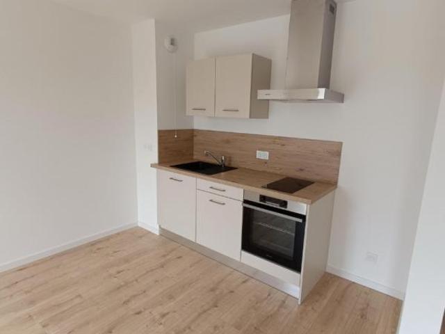 Location Chambre Rue du Professeur Danièle Sommelet, Nancy