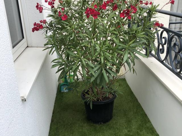 Location Chambre Rue Fernand Pelloutier, Boulogne Billancourt