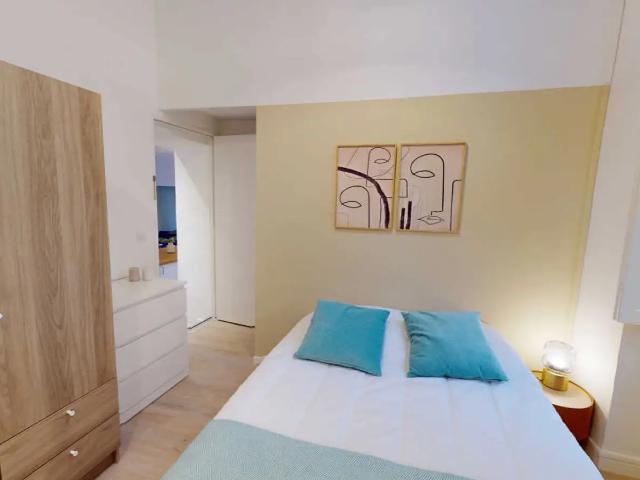 Location Chambre Rue Gentil, Lyon