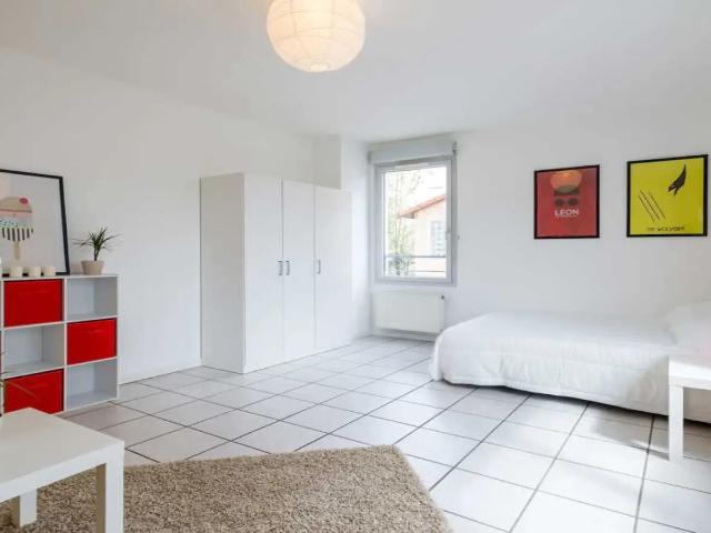 Location Chambre Rue Georges Gouy, Lyon