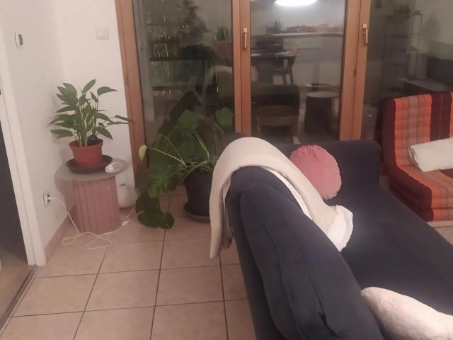 Location Chambre Rue Jean Claude Vivant, Villeurbanne