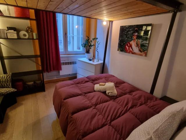 Location Chambre Rue René Leynaud, Lyon