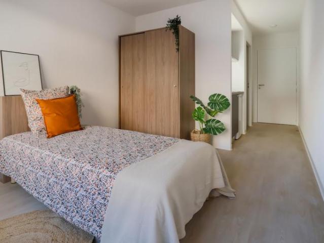 Location Chambre Rue Sainte Catherine, Toulouse