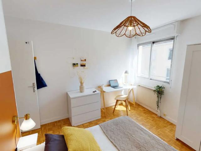 Location Chambre Rue Salomon Reinach, Lyon