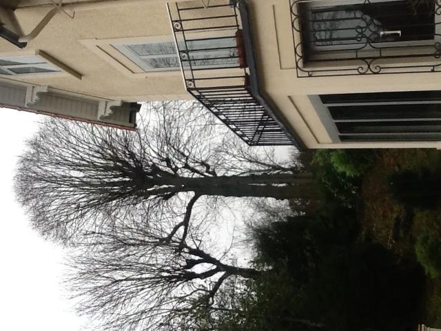 Location Chambre Sente du Nord, Saint Cloud