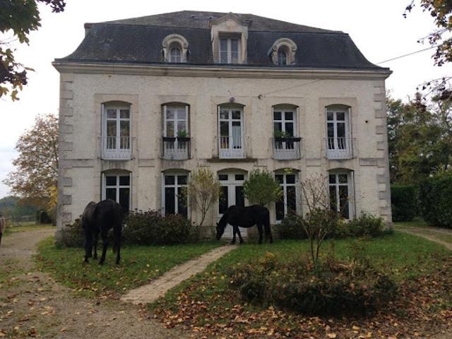 Location Chambre 1 pièce 17 m2 Saint Georges lès Baillargeaux