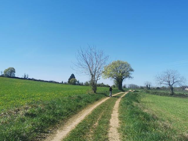 Location Chambre 1 pièce 25 m2 Bach