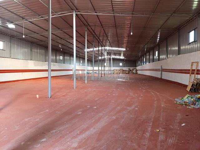 Location entrepôt 1300m commune Bahraoui