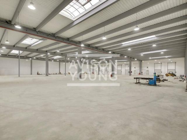 Location entrepôt Tremblay en France Parc Paris Nord 2