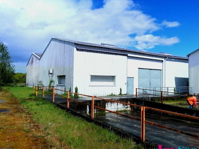 Location entrepôt Villenave d'Ornon Proche rocade