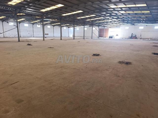 Location entrepôt de 4500m² couverts à Bahraoui