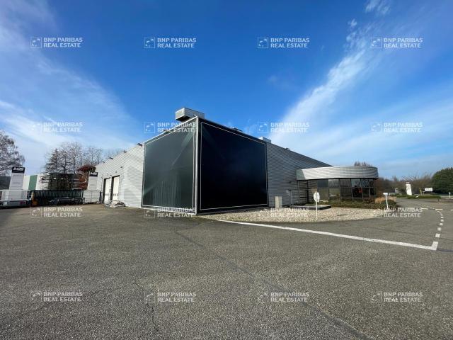 Location entrepôt La Wantzenau Bâtiment indépendant