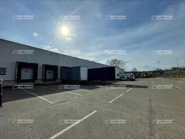 Location entrepôt Strasbourg Port du Rhin Proche A4 A35