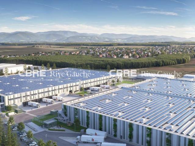 Location entrepôts Gambsheim Proche Strasbourg et autoroutes A5 A8
