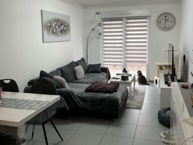 Location F2 RESID. VIOLETTES | SARREGUEMINES IMMOBILIER