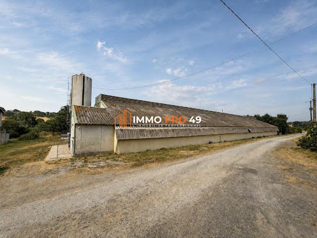 Location Fond de commerce 0 pièces 800 m2 Mauléon