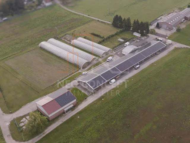 Location Fond de commerce 300 m2 Haguenau