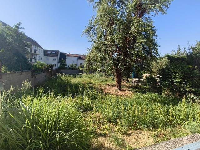 Location House Chemin de la Haie Le Comte, Saint Max