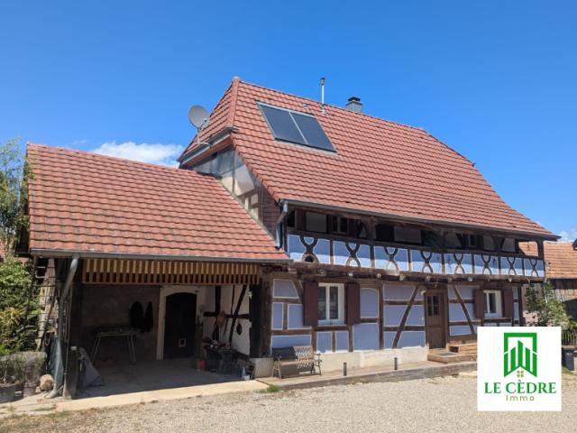 Location House Rue du Rhin, Blotzheim