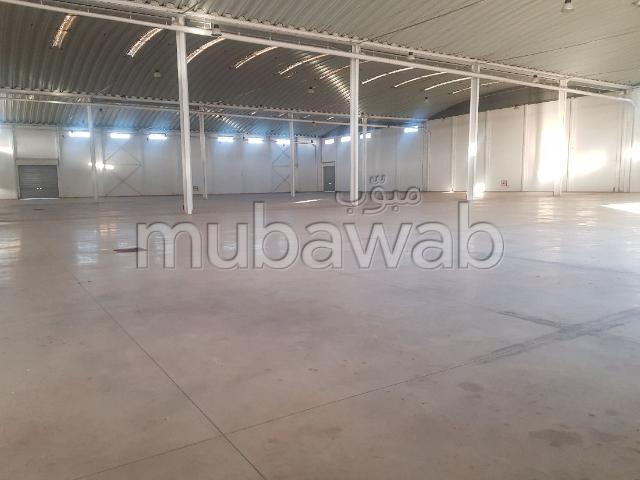 Location industriel LIL 120 de 8700m² a Sapino