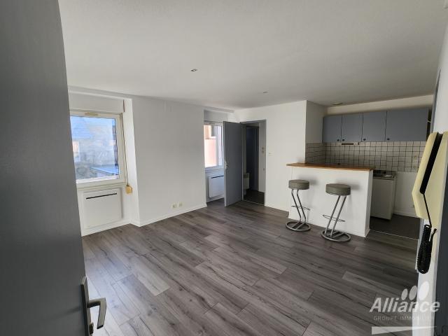 Location jolie T2 lumineux et entièrement rénové | Alliance Groupe Immobilier