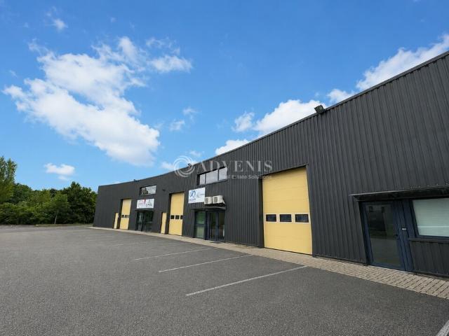 Location local d'activité Altorf Zone Activeum