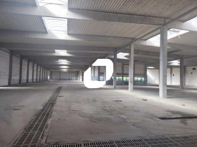 Location local d'activité Blyes Proche A42 et Lyon