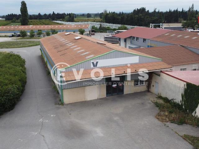 Location local d'activité Graveson Proche Avignon TGV