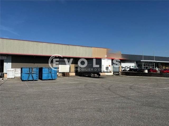 Location local d'activité Dagneux Proche A42 A432