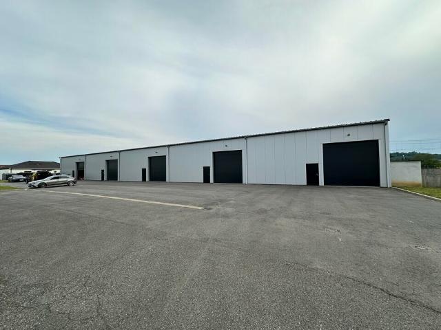 Location local d'activité Lons Axe passant Porte sectionnelle