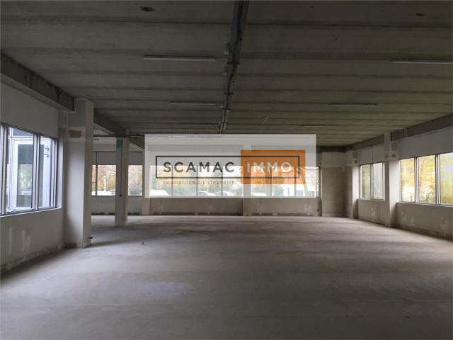 Location local d'activité Les Ulis Proche A10 et RER B C