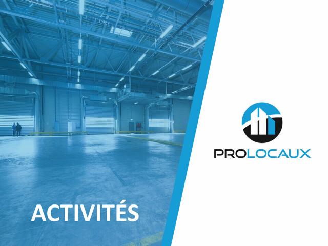 Location local d'activité Malaunay Porte sectionnelle 4,8 m