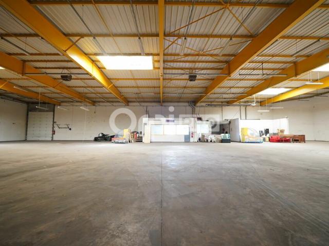 Location local d'activité Miribel Accès A46 A432
