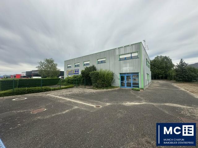 Location local d'activité Souffelweyersheim Divisible 4 lots