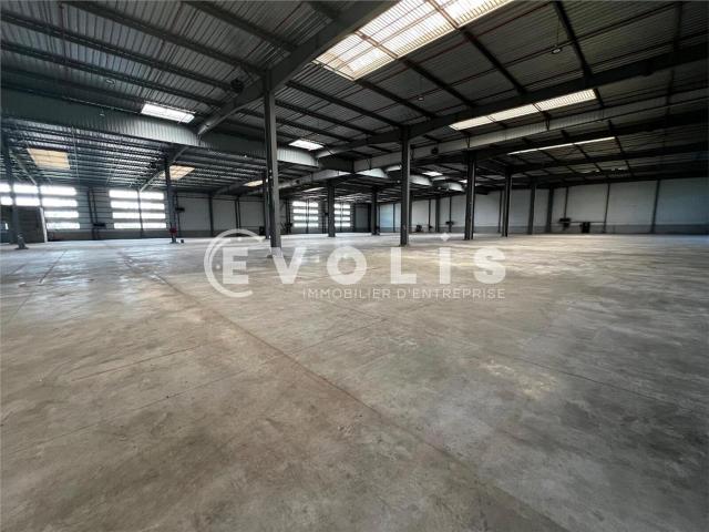 Location local d'activité Saint Michel sur Orge 6 quais niveleurs