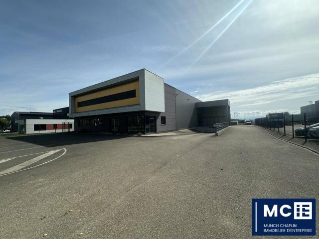 Location local d'activité Weyersheim Proche A35
