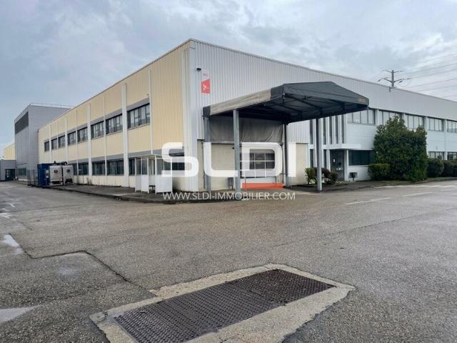 Location local d'activité Vénissieux Parc USIN Lot 105