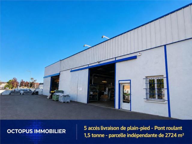 Location locaux d'activité Toulouse 5 accès plain pied et pont roulant