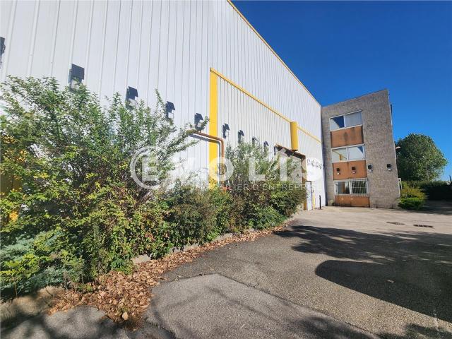 Location locaux d'activité Vaulx en Velin Proche A42