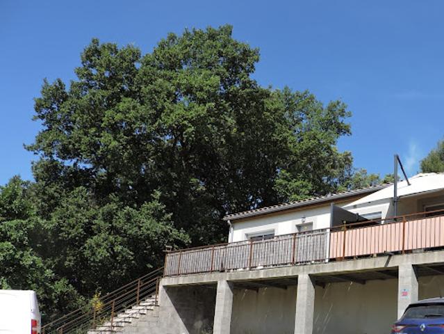 Location Maison 3 pièces 76 m2 Villeneuve