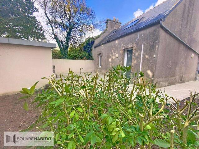Location maison 3 pièces Plouguin 29