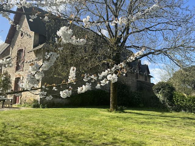 Location Maison 12 pièces 343.13 m2 Mouchamps