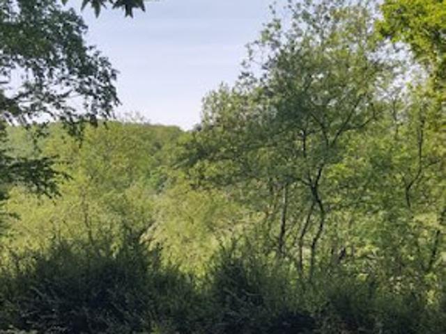 Location Maison 2 pièces 18 m2 Saint Hilaire du Harcouët