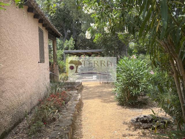 Location Maison 2 pièces 45 m2 Conca