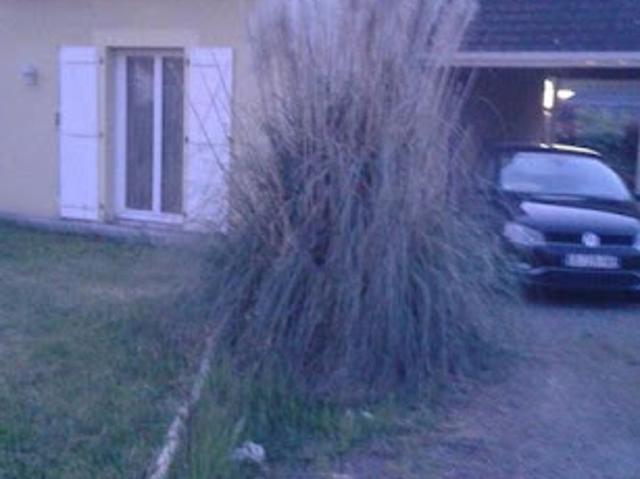 Location Maison 7 pièces 165 m2 Denguin