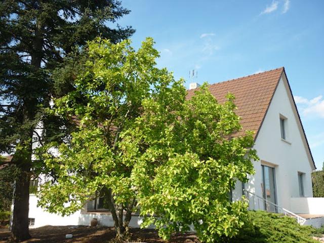 Location Maison 7 pièces 160 m2 Longvic