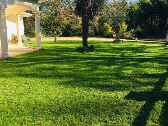 Location maison 7 pièces Léognan 33